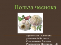 Исследовательская работа Польза чеснока (4 класс)
