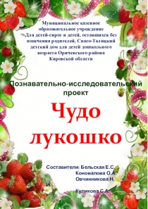 Познавательно - исследовательский проект Чудо - лукошко