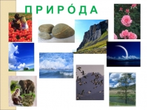 Презентация по природоведениюЖивая и неживая природа осенью