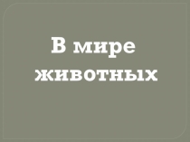Презентация В мире Животных