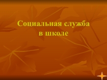 Социальная служба в школе