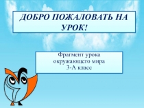 Урок окружающего мира Погода и климат