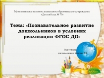 Познавательное развитие дошкольников в условиях реализации ФГОС ДО(дошкольники)