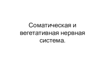 Презентация по теме: Соматическая и вегетативная нервная система.