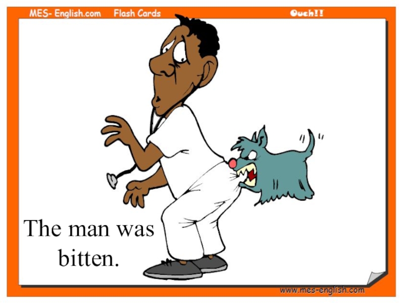 Passive Voice (8 класс) The man was bitten. The man was bitten.