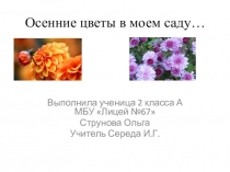 Презентация ученицы к уроку окружающего мира 2 класс