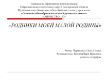 Родники моей малой родины