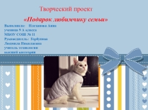 Презентация по технологии Жилет и лежанка для кошки 9 класс