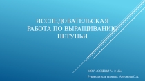 Презентация. Исследовательская работа. Тема:Выращивание петунии.