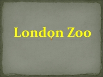Презентация по английскому языку London Zoo (6 класс)