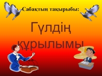 CLIL, кіріктірілген сабақ The structure of a flower презентация