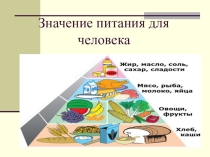 Презентация по микробиологии Значение питания