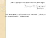 Презентация Паразитарные заболевания собак : демодекоз , методы его диагностики, лечения и профилактики