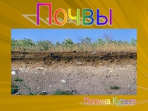 Презентация по окружающему миру на тему Что такое почва? (3 класс)