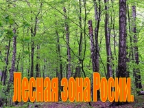 Презентация по окружающему миру на тему Зона лесов России