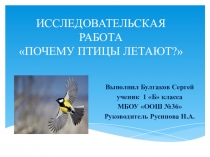 Исследовательская работа по теме: Почему птицы летают