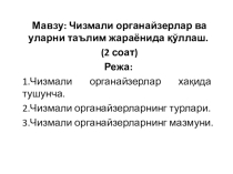 Чизмали органайзерлар мавзусидаги Презентация