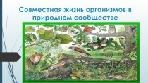 Презентация урока на темуСовместная жизнь организмов в природном сообществе