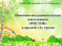 Презентация проекта Поисково-исследовательская деятельность Росток