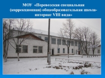 Презентация Школа социализации, как развивающаяся образовательная система