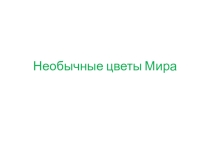 Презентация Необычные цветы Мира