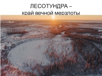Урок Природные зоны России Лесотундра
