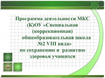Презентация программы деятельности школы по здоровьесбережению