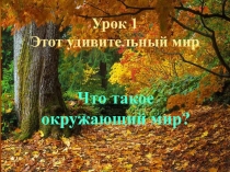 Презентация по окружающему миру на тему Этот удивительный мир ( 1 класс)