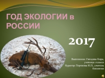 Презентация по теме Год экологии