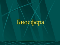 Презентация по географии на тему Биосфера