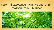 Урок по биологии  Воздушное питание растений - фотосинтез (6 класс)