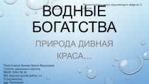 Презентация по окружающему миру. 2 класс. Тема Водные богатства