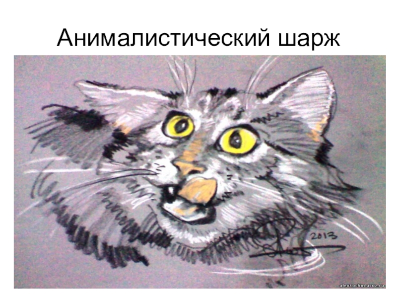Презентация по изобразительному искусству на тему Карикатура (6 класс) Анималистический шарж Анималистический шарж