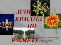 Презентация по математике на тему Симметрия