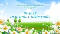 Презентация неделя: Наедине с природой
