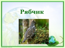 Презентация по окружающему миру на тему Зона лесов. Животные зоны леcoв (4 класс)