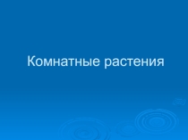 Комнатные растения. Презентация 3 класс.