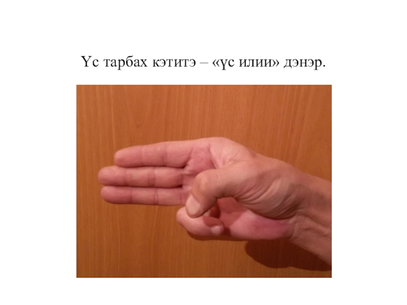Презентация по математике Сахалыы сабарай кээмэйдэр (3 класс) Үс тарбах кэтитэ – «үс илии» дэнэр. Үс тарбах кэтитэ – «үс илии» дэнэр.