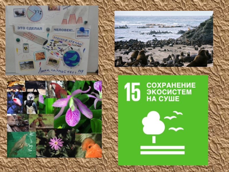 17 общемировых целей человечества