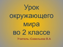 Презентация к уроку окружающий мирОпасные незнакомцы