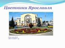 Презентация о цветниках Ярославля, Брюсселя