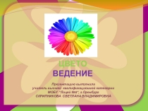 Презентация по изобразительному искусству на тему: Цветоведение