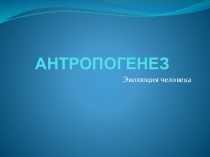 Презентация по биологии на тему Антропогенез (11 класс)