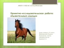 Презентация проекта Эти удивительные лошади