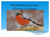 Птичья столовая(подготовительная группа)