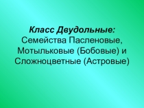 Презентация по биологии Класс Двудольные. Семейства Пасленовые,Мотыльковые (Бобовые) и Сложноцветные (Астровые)