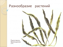 Презентация по окружающему миру для 2-3 класса Разнообразие растений