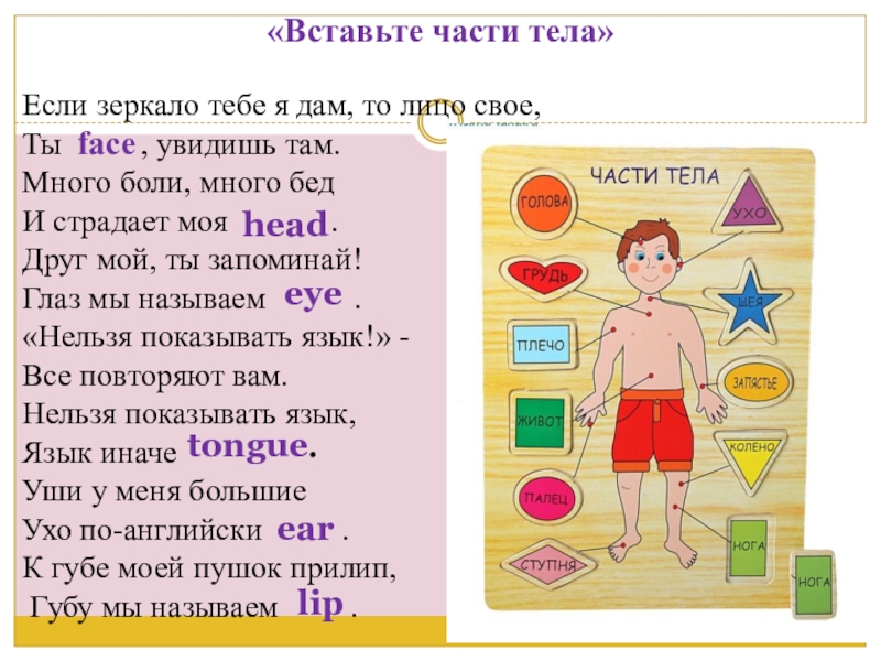 Презентация по английскому языку на тему Внешность_одежда «Вставьте части тела» Если зеркало тебе я дам, то лицо свое, Ты «Вставьте части тела» Если зеркало тебе я дам, то лицо свое, Ты , увидишь