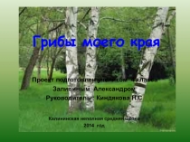 Презентация к творческому проекту Грибы моего края