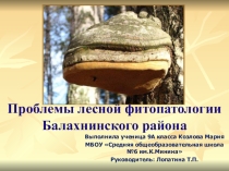 Презентация Проблемы лесной фитопатологии Балахнинского района.